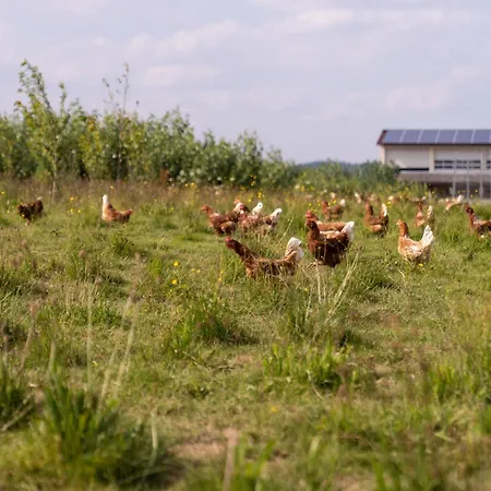 Waldblick דירה *