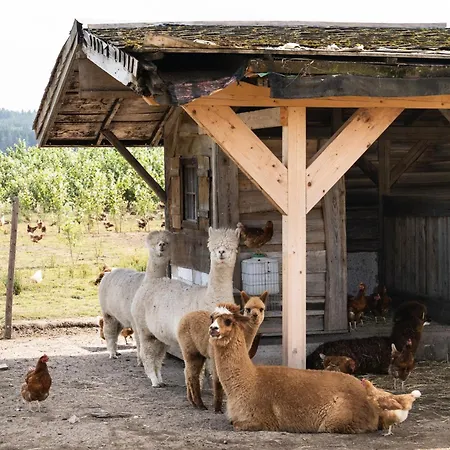 Waldblick * Bräunlingen