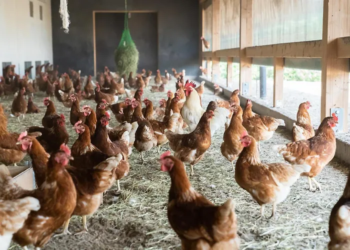 Waldblick شقة Bräunlingen