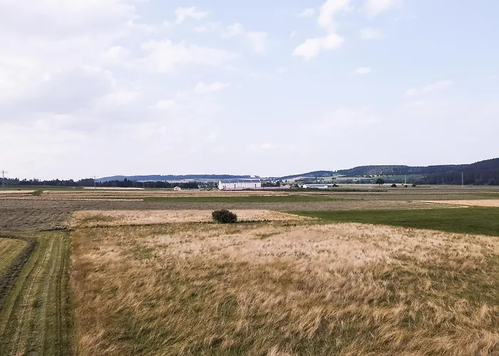 Waldblick Bräunlingen