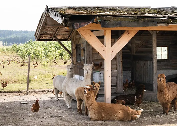 Waldblick * Bräunlingen